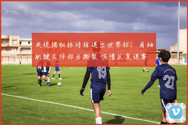 央视揭秘林诗栋退出世界杯：肩袖肌腱炎伴部分撕裂 伤情反复退赛