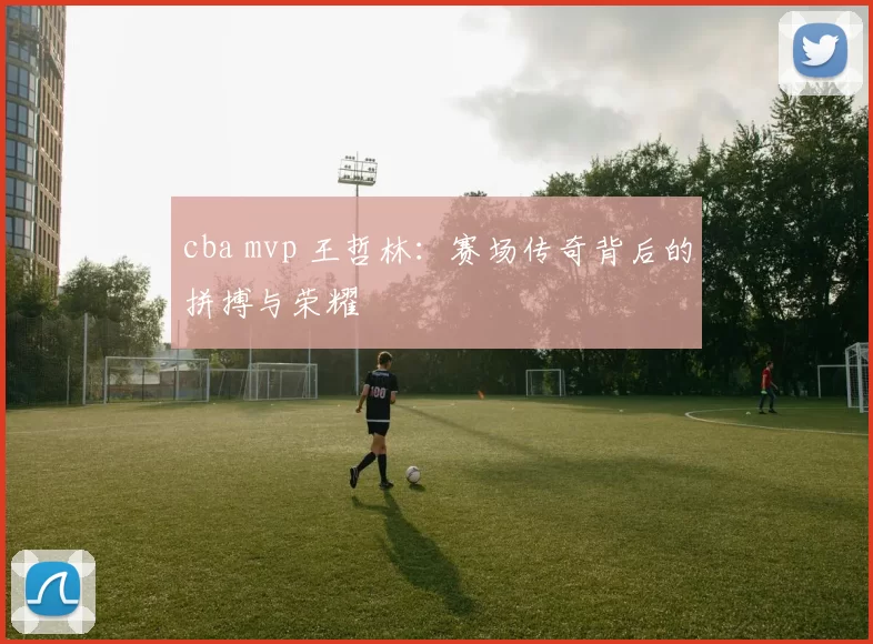 cba mvp 王哲林：赛场传奇背后的拼搏与荣耀