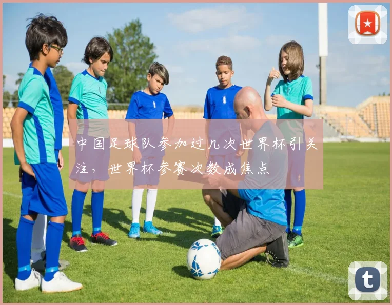 中国足球队参加过几次世界杯引关注，世界杯参赛次数成焦点