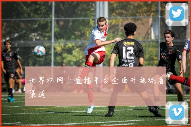 世界杯网上直播平台全面开放观看渠道