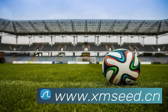 APP 体育赛事宣传图